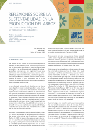 Reflexiones sobre la sustentabilidad en la producción del arroz